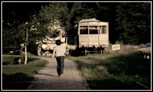 Zdjecie POLSKA / brak / Białowieża / spóźniony