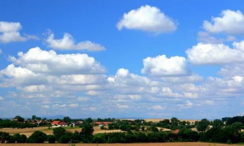 Zdjecie POLSKA / DONY ŚLĄSK / U podnóża Ślęży / Puchata inwazja