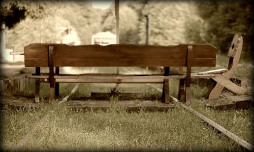 Zdjęcie POLSKA / brak / Białowieża / przerwa w podróży