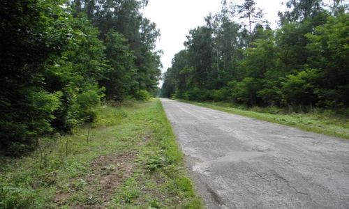 Zdjęcie POLSKA / mazowieckie / Studzianki Pancerne, 19km od Kozienic / W drodze na Studzianki Pancerne