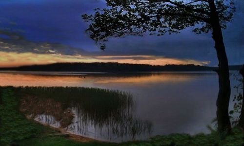 Zdjecie POLSKA / Podlasie / Augustw / Augustowskie... wieczory :)