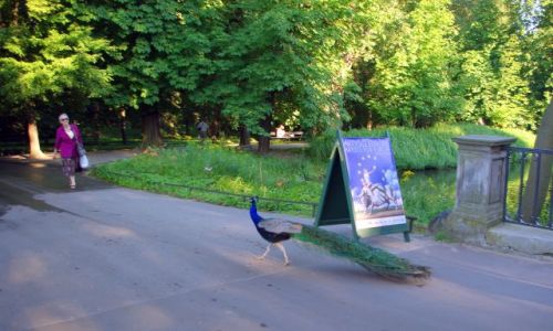 Zdjęcie POLSKA / Mazowsze, Warszawa / Łazienki królewskie / Wyjście naprzeciw.