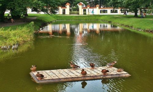Zdjecie POLSKA / Podlasie / Biaystok / Podre na tratwie