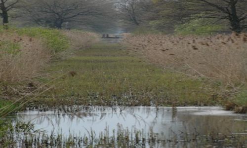 Zdjecie POLSKA / wielkopolska / Legi Obrzanskie / Kanal Obry