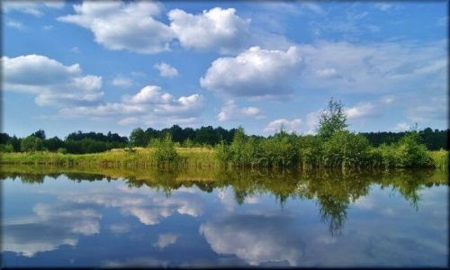 Zdjecie POLSKA / Lubelszczyzna / za miastem / Lubelskie stawy