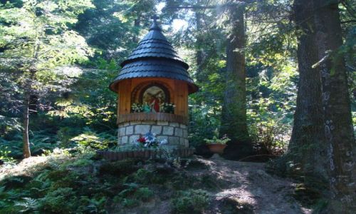 Zdjęcie POLSKA / Beskid Niski / Na szlaku z Mrukowej / Zamyślenie