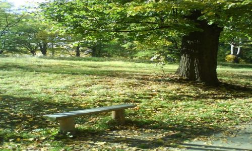 Zdjecie POLSKA / dolnolskie / Ksiaski Park Narodowy / awka