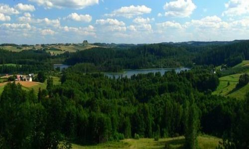 Zdjcie POLSKA / suwalski park krajobrazowy / Smolniki - widok z punktu widokowego  na cisow gr i okolice / wakacyjna panorama