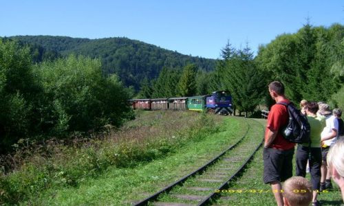 Zdjecie POLSKA / BIESZCZADY / CISNA / NADCHODZI
