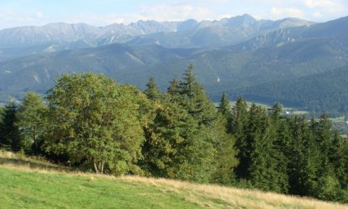 Zdj�cie POLSKA / Podhale / Panorama z Butorowego Wierchu / Taterki
