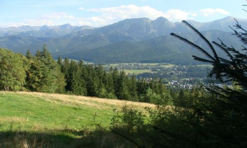 Zdjecie POLSKA / Podhale / Tatry / Rycerzyk