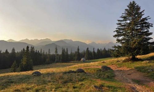 Zdjecie POLSKA / Gry / Tatry / Na polanie