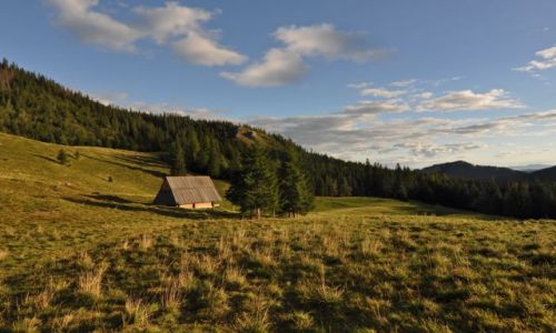 Zdjecie POLSKA / Gry / Tatry / Na polanie...