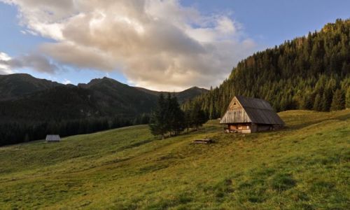 Zdjecie POLSKA / Gry / Tatry / Na polanie...