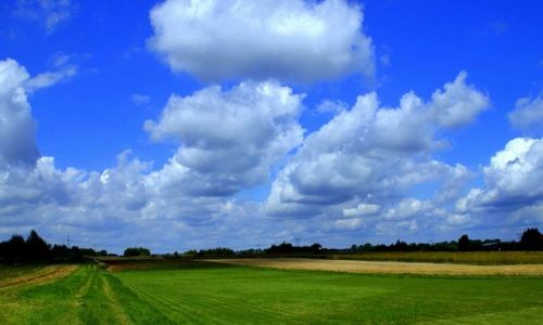 Zdjecie POLSKA / Podkarpacie / koło Rzeszowa / Widoczek