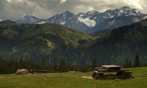 Zdjecie POLSKA / Tatry / Rusinowa Polana / Ach..Tatry Moje...