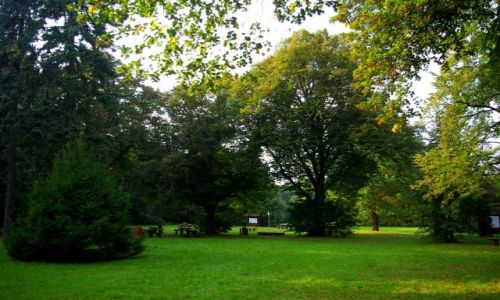 Zdjęcie POLSKA / Mazowsze, Warszawa Bielany. / Park Młociński. / Uroczysko Młociny.