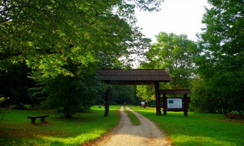 Zdjęcie POLSKA / Mazowsze, Warszawa Bielany. / Park Młociński. / Uroczysko Młociny.