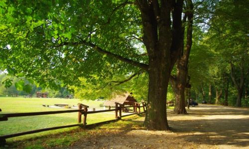 Zdjęcie POLSKA / Mazowsze, Warszawa Bielany. / Park Młociński. / Uroczysko Młociny.