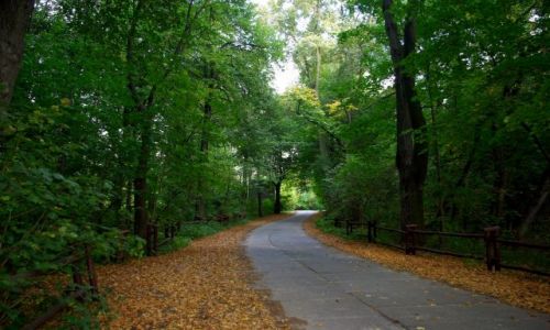 Zdjęcie POLSKA / Mazowsze, Warszawa Bielany. / Park Młociński. / Uroczysko Młociny.
