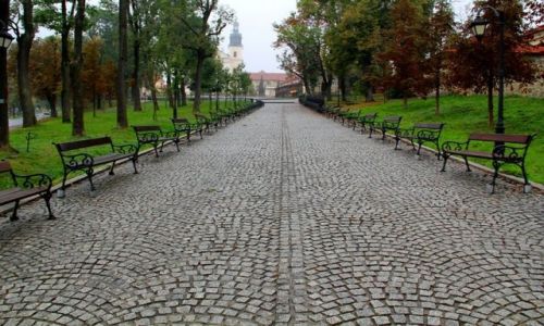 Zdjcie POLSKA / - / KALWARIA ZEBRZYDOWSKA / Aleja dojciowa do sanktuarium.