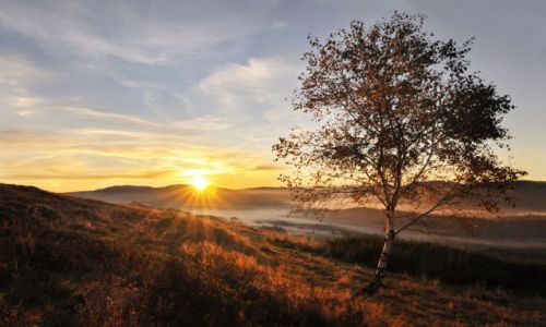 Zdjecie POLSKA / lskie / Hala Ochodzita / Beskid o poranku