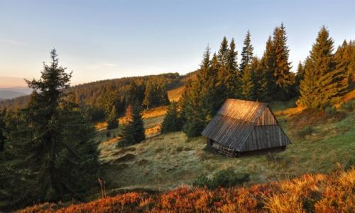 Zdjecie POLSKA / lskie / Beskid  Zywiecki / na gronicku