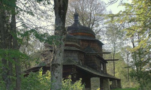 Zdjecie POLSKA / Podkarpackie, powiat przemyski, gmina Dubiecko / Pitkowa / Cerkiew w Pitkowej II