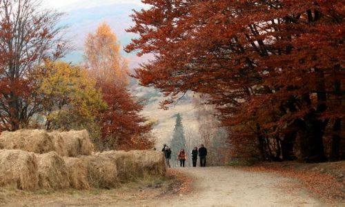 Zdjecie POLSKA / - / Bieszczady / W drodze na Ma Rawk