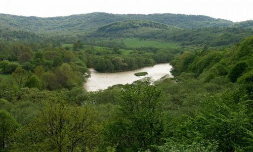 Zdjęcie POLSKA / Podkarpacie / Rezerwat Krzywe / San