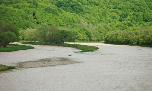 Zdjęcie POLSKA / Podkarpacie / Rezerwat Krzywe / San