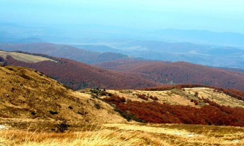 Zdjecie POLSKA / - / Bieszczady / Bieszczady 4
