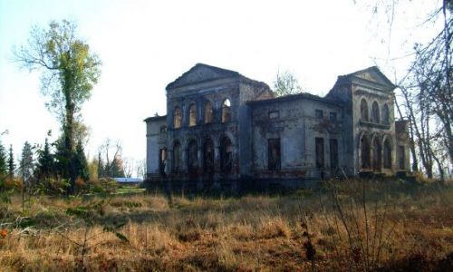Zdjecie POLSKA / dzkie / Biernacice k. Uniejowa / Ruiny dworu w Biernacicach z XIX w.