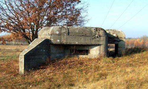 Zdjęcie POLSKA / Wielkopolska / Smolina / Bunkier na 2 ckm-y
