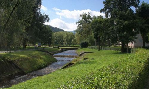 Zdjęcie POLSKA / Kotlina Klodzka / Duszniki Zdrój / Park