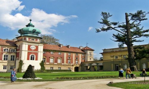 Zdjecie POLSKA / Podkarpacie / acut / Zamek w acucie 