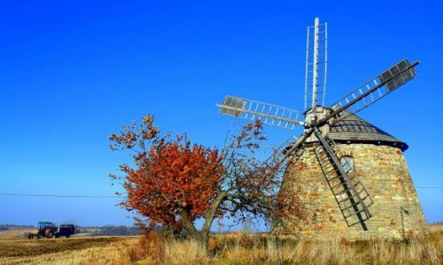 Zdjecie POLSKA / witokrzyskie / Szwarszowice / Wiatrak
