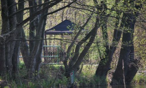 Zdjęcie POLSKA / Wielkpolska / Las Dębina / Przystań w lesie