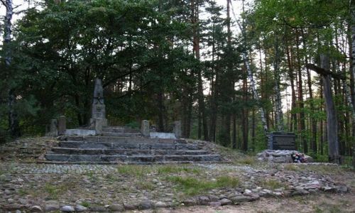 Zdjęcie POLSKA / Mazowsze / Puszcza Osiecka / Mogiła Powstańców 1863