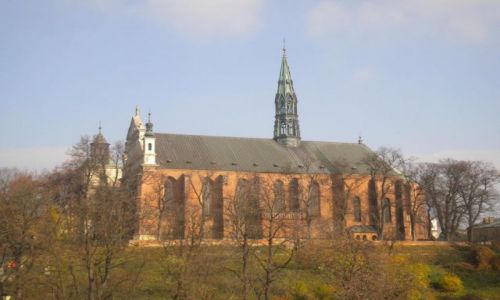 Zdjecie POLSKA / - / Sandomierz  / Katedra
