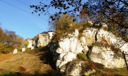 Zdjęcie POLSKA / Małopolska / Ojcowski Park Narodowy / Zamek w Ojcowie 2
