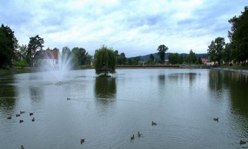 Zdjcie POLSKA / Kotlina Kodzka / Kudowa Zdrj / Staw z mieszkacami