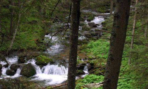 Zdjecie POLSKA / Zakopane / Zakopane / Cyhrle-wodospad