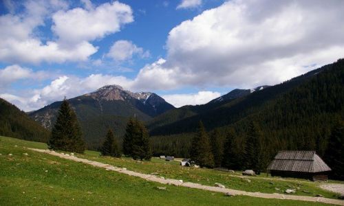 Zdjecie POLSKA / Tatry / Polana Chochoowska / Medytacja
