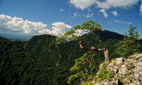 Zdjecie POLSKA / dolnolskie / Szklarska Poreba / niene Koty, Wielki Szyszak, mielec,