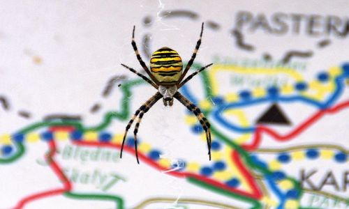 Zdjecie POLSKA / Kotlina Kodzka / Midzylesie / A teraz w ktr stron?