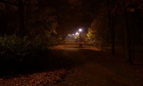 Zdjecie POLSKA / WIELKOPOLSKA / Kalisz / Kalisz. PArk miejski noc.