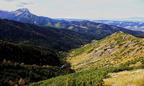Zdjecie POLSKA / maopolskie / zakopane / Widok na Giewont