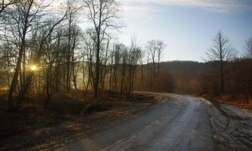 Zdjecie POLSKA / Maopolska, powiat limanowski / okolice Limanowej / Poranek koo Limanowej