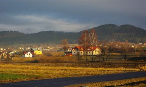 Zdjcie POLSKA / Maopolska, powiat limanowski / okolice Limanowej / Poranek koo Limanowej